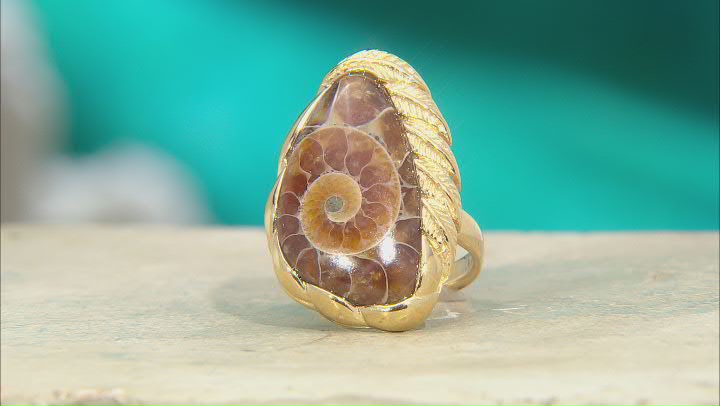 Ammonite Shell 18k Yellow Gold Over Sterling Silver Ring Video Thumbnail