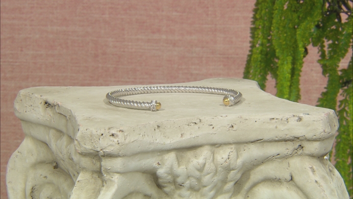 White Crystal Rhodium And 18k Gold Over Brass Two Tone Bracelet Video Thumbnail
