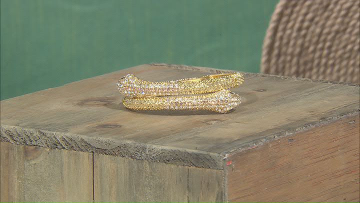 White Crystal Gold Tone Snake Bracelet and Earring Set Video Thumbnail