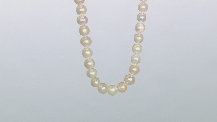 White Cultured Freshwater Pearl Sterling Silver Necklace 9-10mm Video Thumbnail
