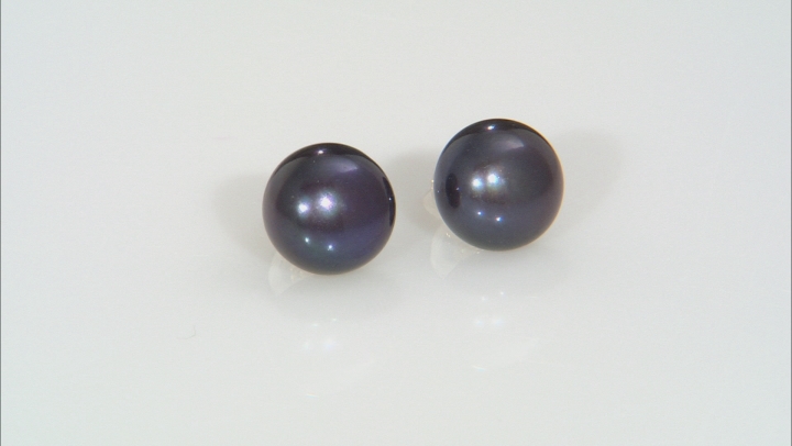 Black Cultured Freshwater Pearls 10k Yellow Gold Stud Earrings 10-11mm Video Thumbnail