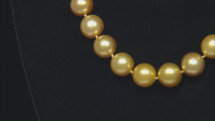 Golden Cultured South Sea Pearl 14k Yellow Gold Strand Necklace 18 inch Video Thumbnail