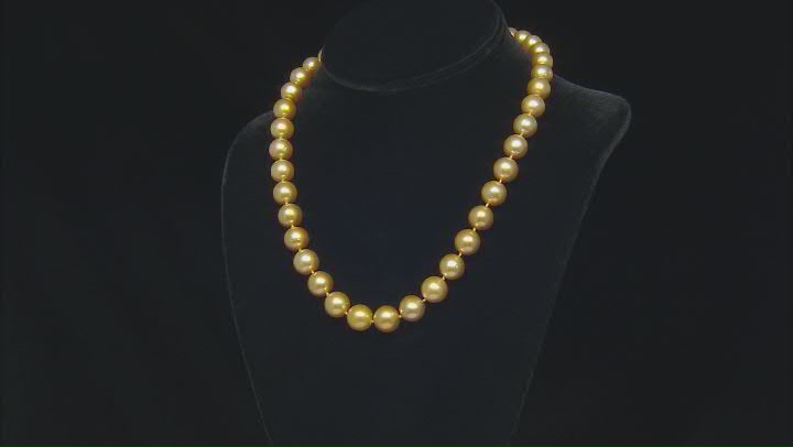 Golden Cultured South Sea Pearl 14k Yellow Gold Strand Necklace 18 inch Video Thumbnail