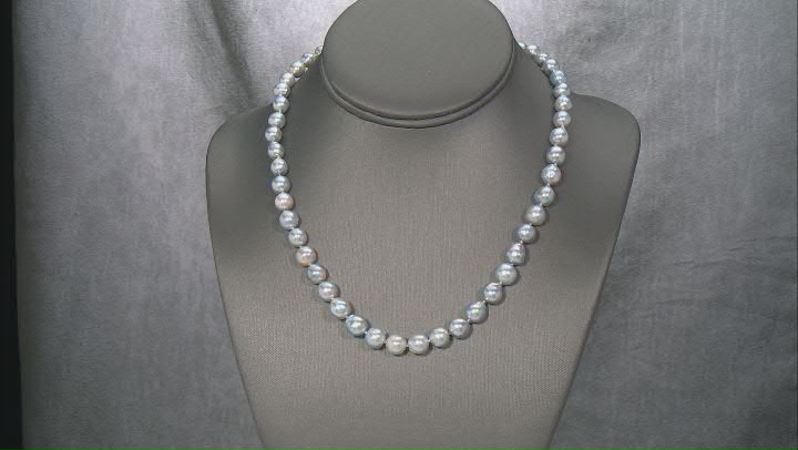 Platinum Cultured Japanese Akoya Pearl Rhodium Over Sterling Silver 18 Inch Strand Necklace Video Thumbnail