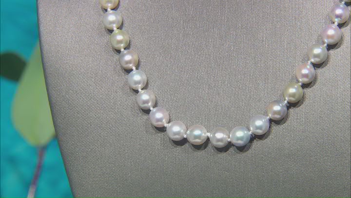 Multicolor Platinum Cultured Japanese Akoya Pearl Rhodium Over Sterling Silver Strand 18" Necklace Video Thumbnail