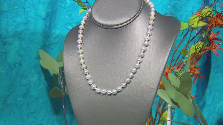 Multicolor Platinum Cultured Japanese Akoya Pearl Rhodium Over Sterling Silver Strand 18" Necklace Video Thumbnail