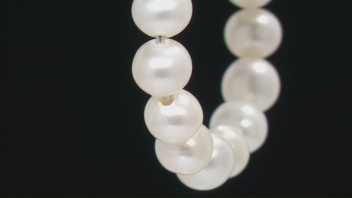 White Cultured Freshwater Pearl Rhodium Over Sterling Silver Hoop Earrings Video Thumbnail