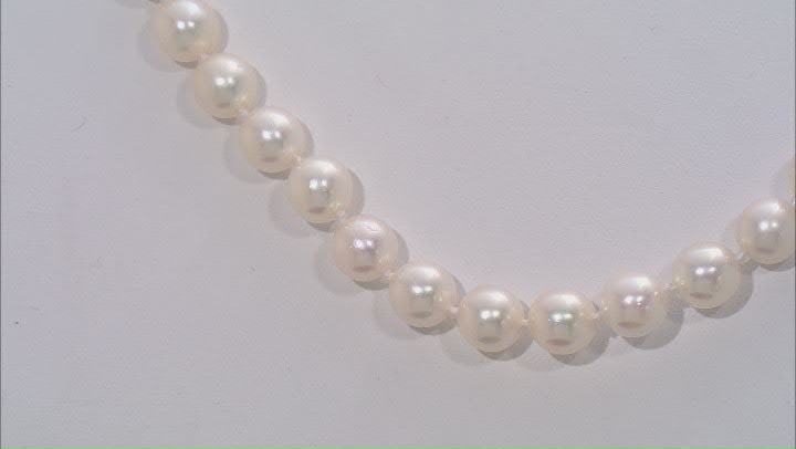 White Cultured Japanese Akoya Pearl Rhodium Over Sterling Silver 18 Inch Strand Necklace Video Thumbnail