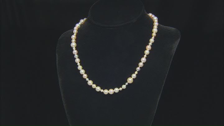 Multi-Color Cultured Japanese Akoya Pearl Rhodium Over Sterling Silver 18 Inch Necklace Video Thumbnail