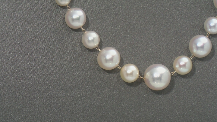 Multi-Color & White Cultured Japanese Akoya Pearl 14k Yellow Gold Strand Necklace Video Thumbnail