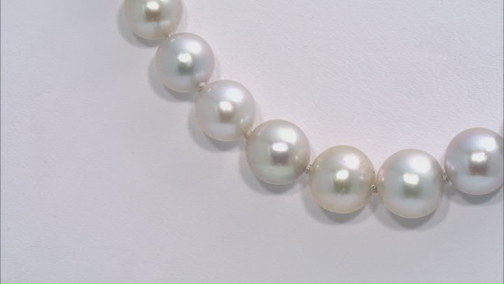 Multi-Color Cultured Japanese Akoya Pearl Rhodium Over Sterling Silver 18 Inch Strand Video Thumbnail