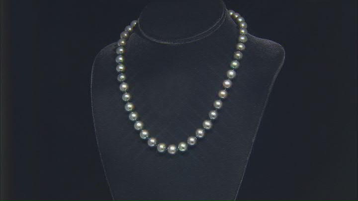 Black Cultured Freshwater Pearl Rhodium Over 14k White Gold 18 Inch Necklace Video Thumbnail
