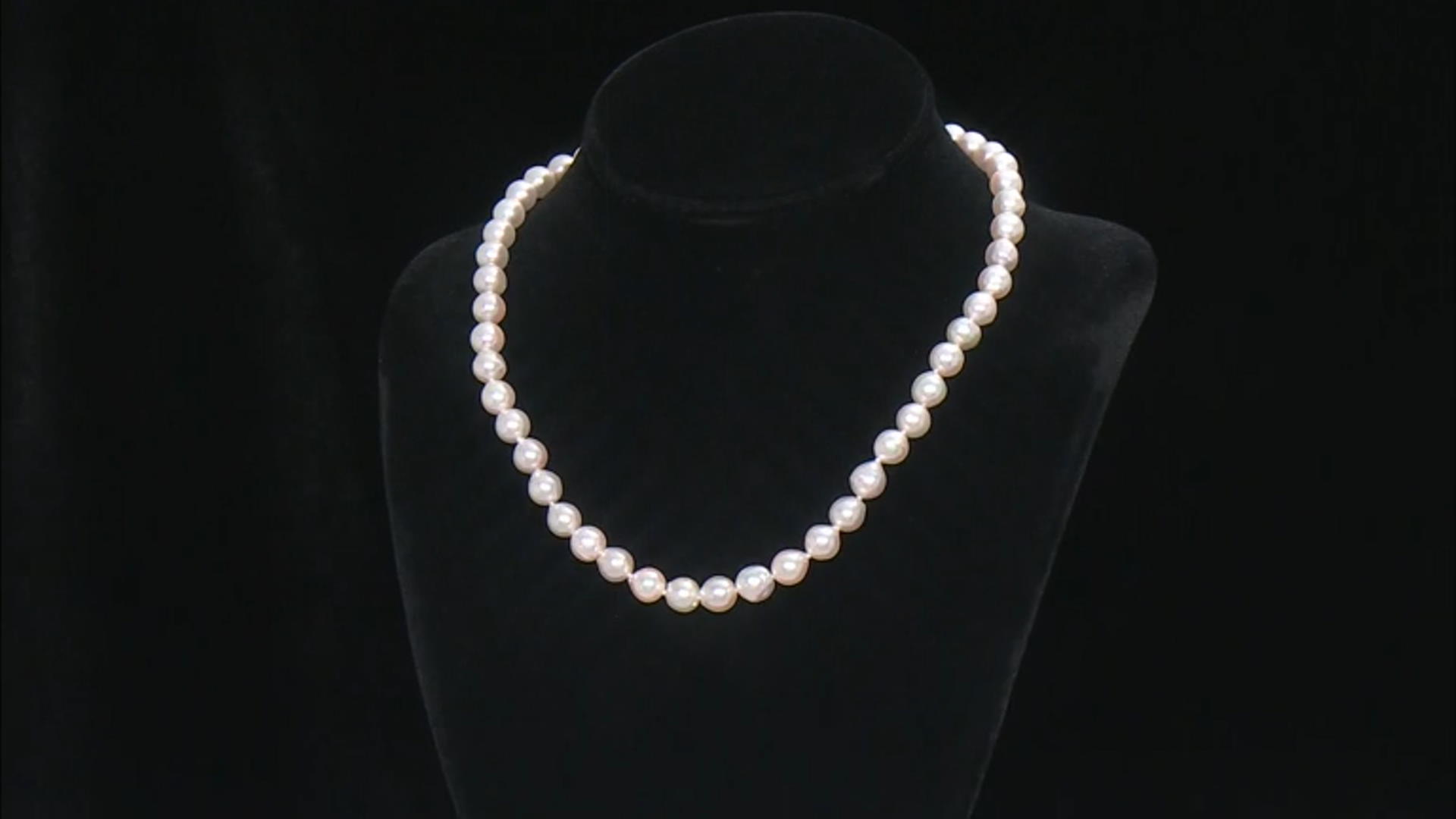 White Cultured Japanese Akoya Pearl Rhodium Over Sterling Silver Necklace Video Thumbnail