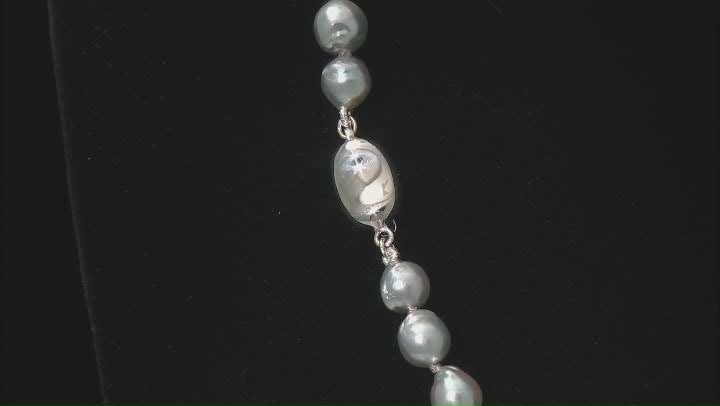 Platinum Cultured Japanese Akoya Pearl Rhodium Over Sterling Silver Necklace Video Thumbnail
