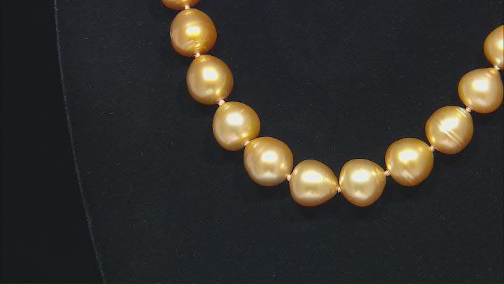 Golden Cultured South Sea Pearl 14k Yellow Gold Necklace Video Thumbnail