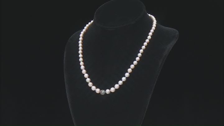 Cultured Japanese Akoya and Cultured Tahitian Pearl Rhodium Over Sterling Necklace Video Thumbnail