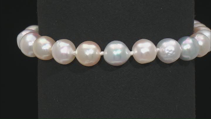 Multi-Color Cultured Japanese Akoya Pearl Rhodium Over Sterling Silver Bracelet Video Thumbnail