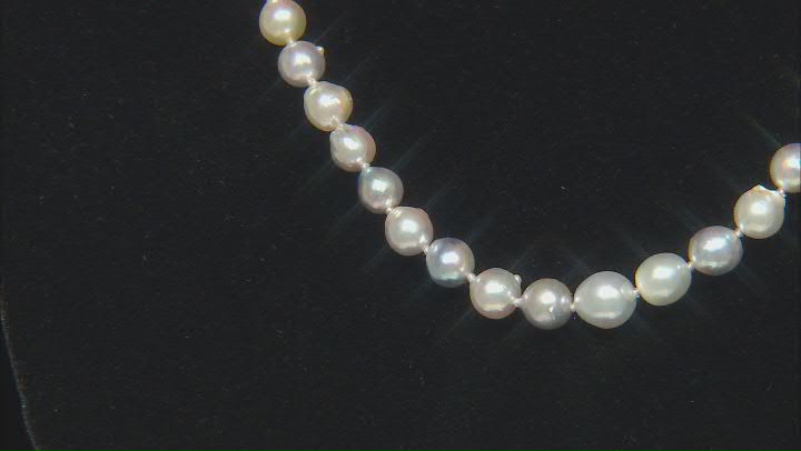 Multi-Color Cultured Japanese Akoya Pearl Rhodium Over Sterling Silver Necklace Video Thumbnail