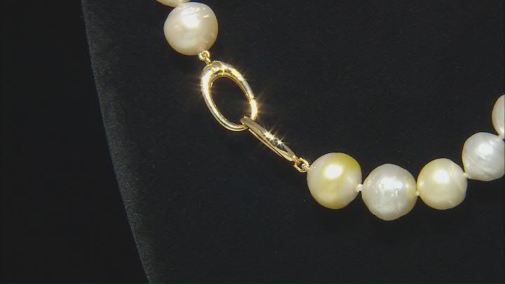 Multicolor Cultured South Sea Pearl 18k Gold Over Sterling Silver 26" Necklace Video Thumbnail