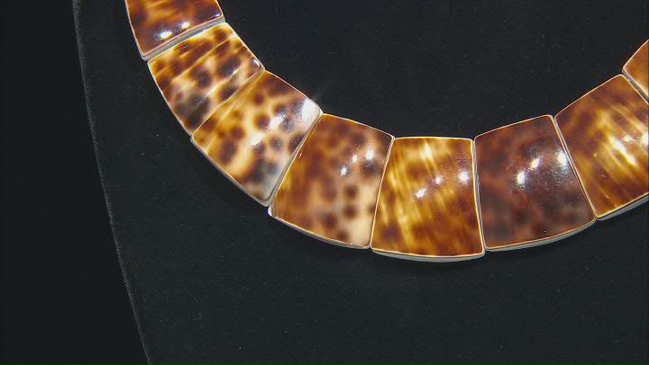 South Sea Tiger Cowrie Mother-of-Pearl Rhodium Over Sterling Silver Necklace Video Thumbnail