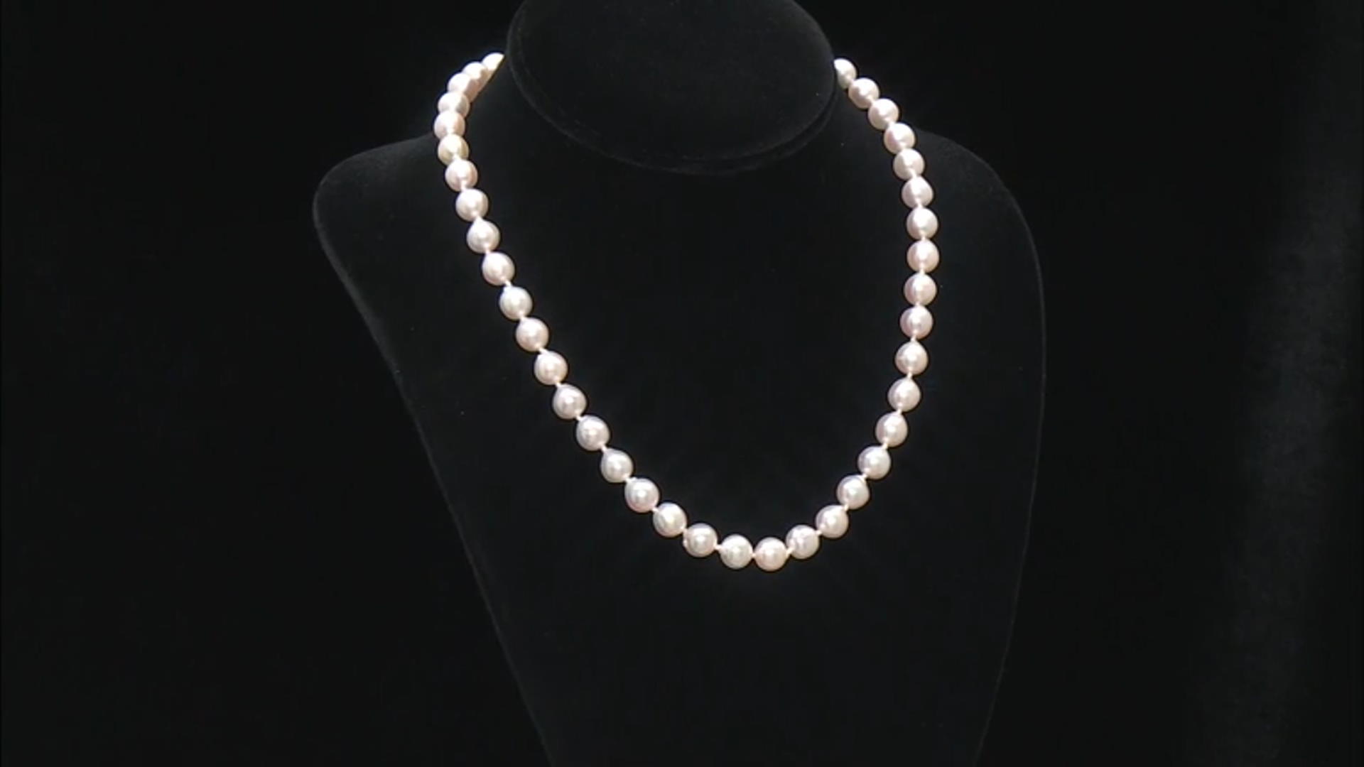 White Cultured Japanese Akoya Pearl 14k Gold Strand Necklace Video Thumbnail