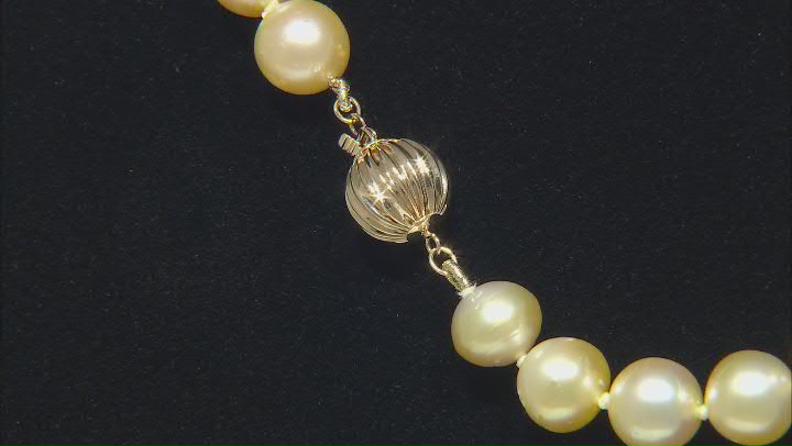 Golden Cultured South Sea Pearl 14k Yellow Gold Strand Necklace Video Thumbnail