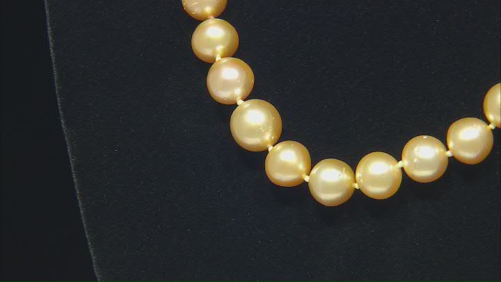 Golden Cultured South Sea Pearl 14k Yellow Gold Strand Necklace Video Thumbnail