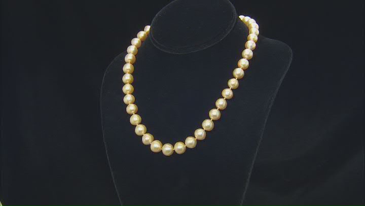 Golden Cultured South Sea Pearl 14k Yellow Gold Over Sterling Silver 18 Inch Strand Necklace Video Thumbnail
