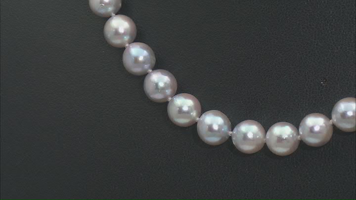Pink Cultured Japanese Akoya Pearl Rhodium Over Sterling Silver Necklace Video Thumbnail