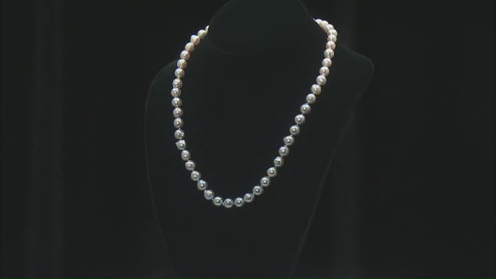 White to Platinum Ombre Cultured Japanese Akoya Rhodium Over Sterling Silver Necklace Video Thumbnail