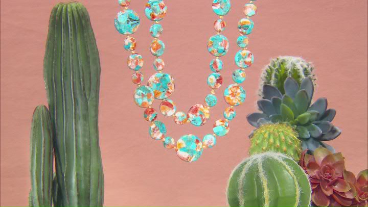 Blended Turquoise and Spiny Oyster Shell Bead Strand Necklace
