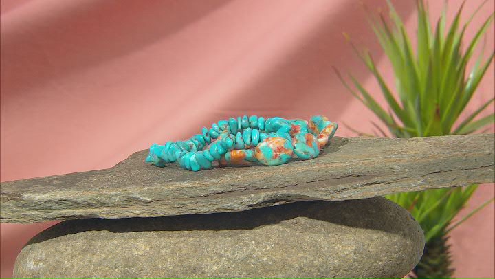Blended Blue Turquoise and Spiny Oyster Shell Set of Stretch Bracelets Video Thumbnail