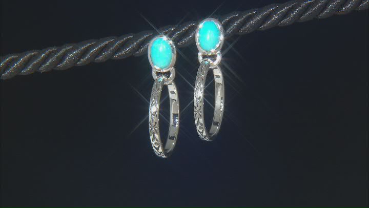 Sleeping Beauty Turquoise Sterling Silver Earrings Video Thumbnail