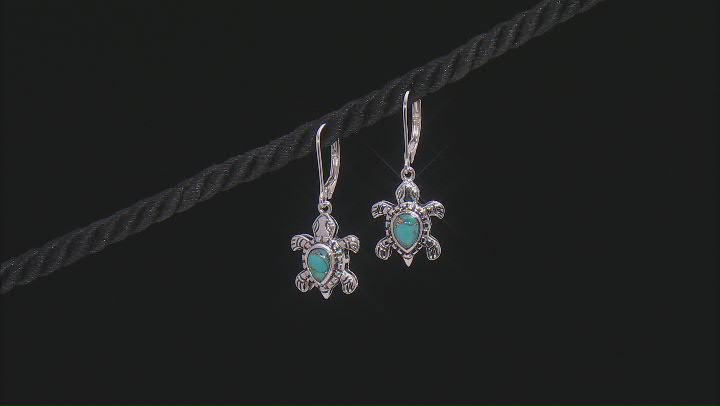 Blue Turquoise Silver Oxidized Turtle Earrings Video Thumbnail