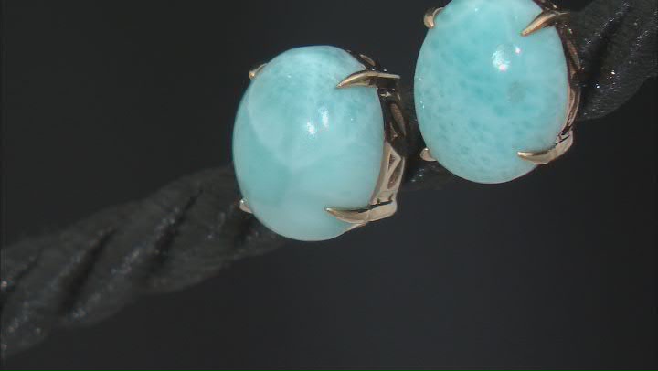 Blue Oval Larimar 10k Yellow Gold Stud Earrings Video Thumbnail