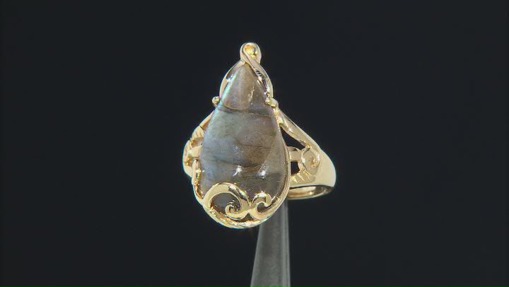 Gray Labradorite 18k Yellow Gold Over Sterling Silver Ring Video Thumbnail