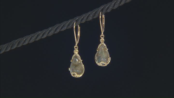 Gray Labradorite 18k Yellow Gold Over Sterling Silver Earrings Video Thumbnail