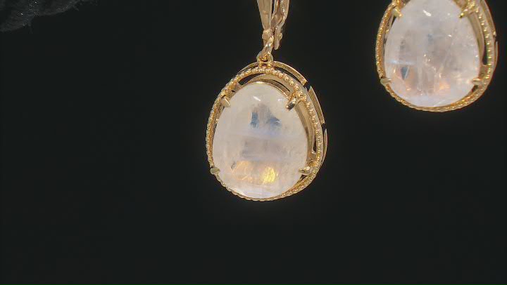 Rainbow Moonstone 18k Yellow Gold Over Sterling Silver Earrings Video Thumbnail