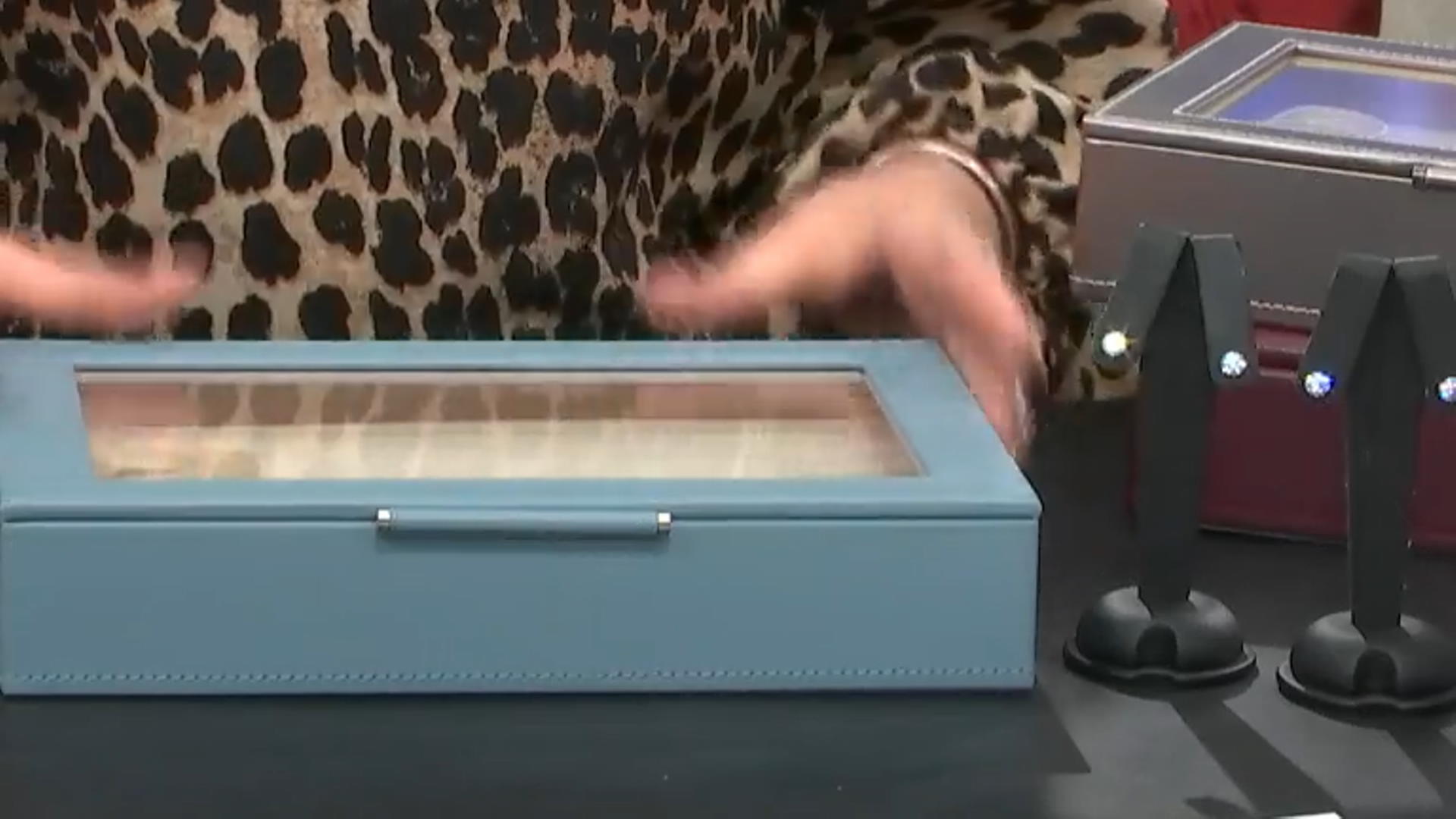 WOLF Medium Ring Box with Window and LusterLoc (TM) in Mid-Century Blue Video Thumbnail