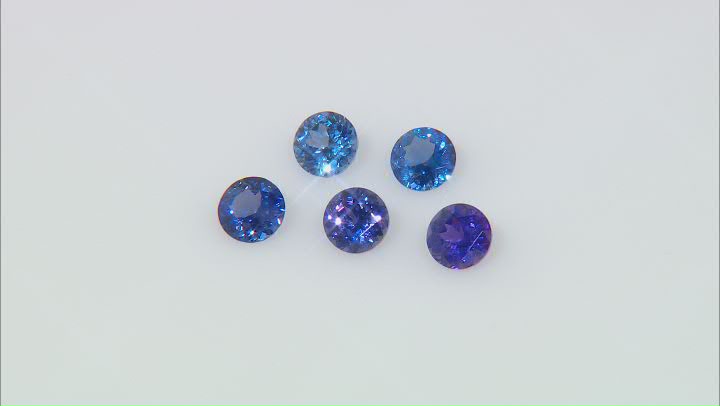 Multi-Color Sapphire Untreated Round Set 2.92ctw Video Thumbnail